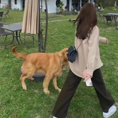 美人鱼旅馆